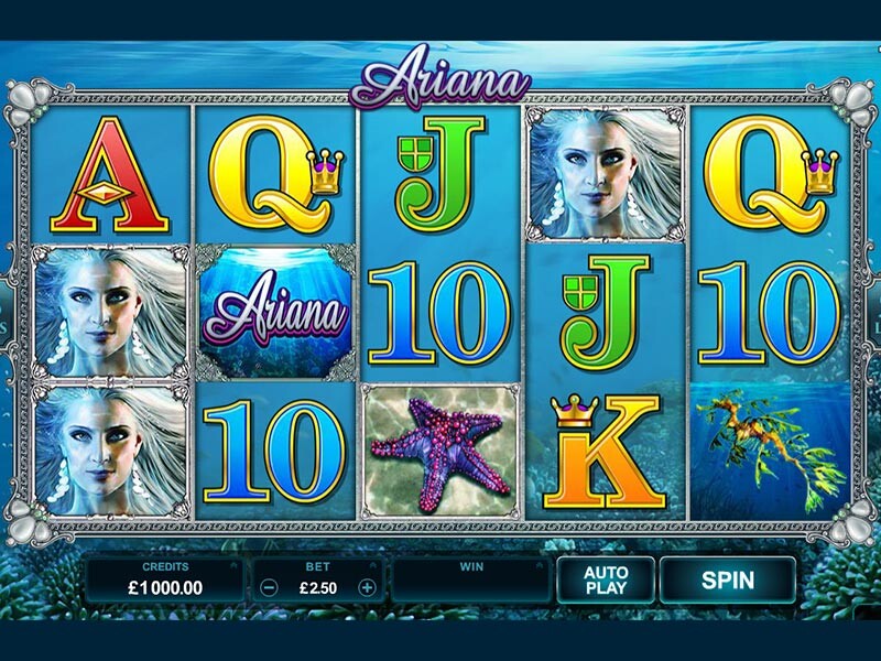 Everything You Need  to Know  About Ariana Slot Review